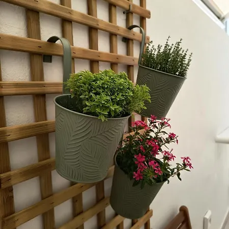'nossia' & Cozy In Naxos Town Appartement *